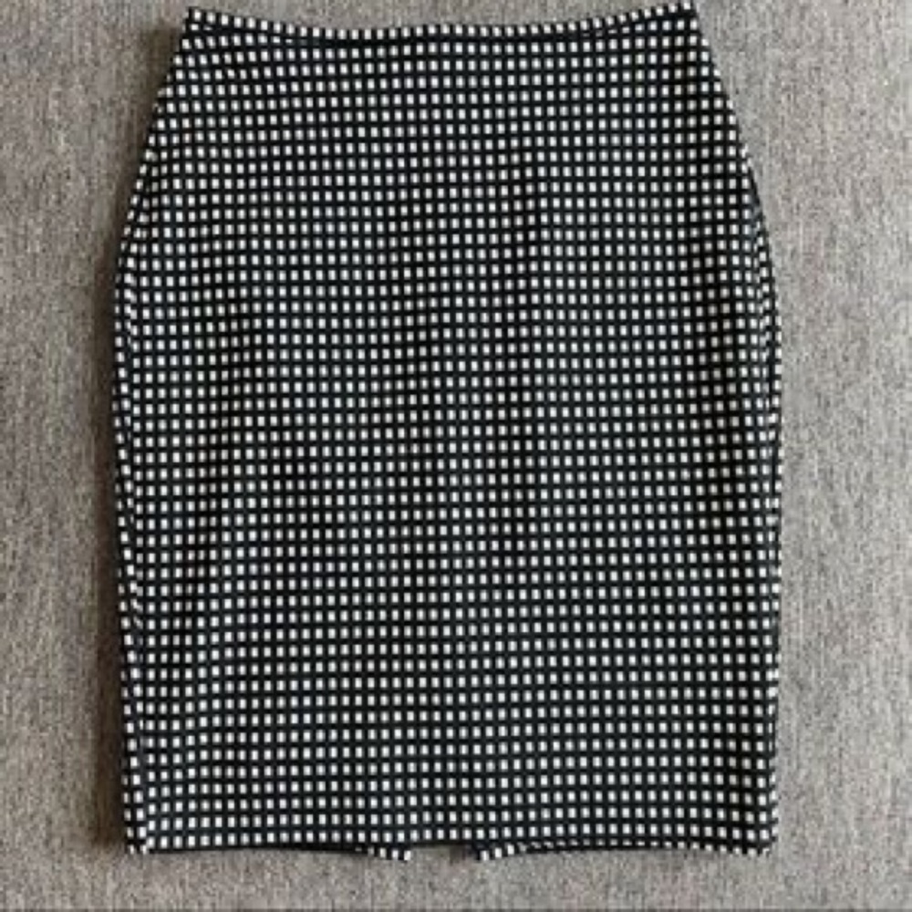 Express Pencil Skirt